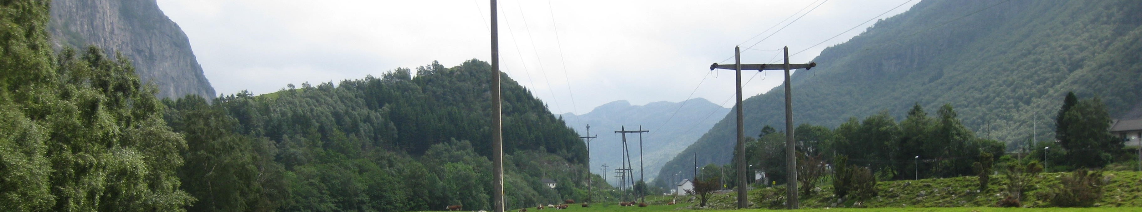 Eldre kraftlinjer over beitejord der kyr gresser med fjell på begge sider av dalen. 