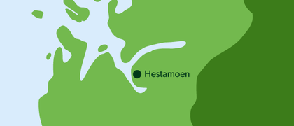 Illustrasjonsbilde av Hestamoen-prosjektet